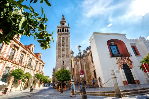 Sevilla, SPAIN - September 09, 2015:  Tower Giralda  of the Cathedral of Saint Mary of the See,  Andalusia. Mandarin tree, tourists in the street — Stock Photo, Image