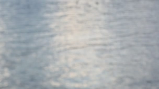 Eau de rivière avec canards 