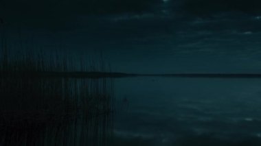 Ördeklerle gölde kasvetli bir sabah