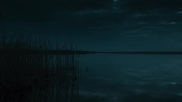 Vacker Morgon Sjön Med Ankor — Stockvideo