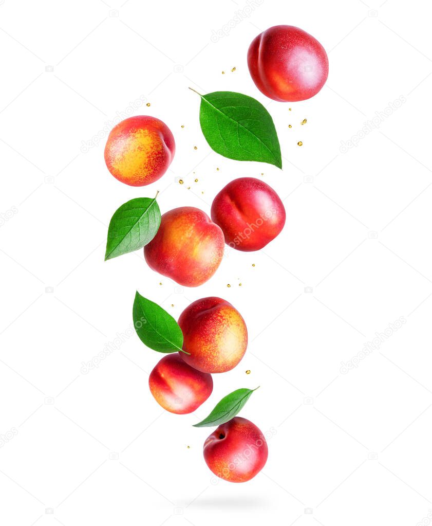 Juicy nectarine peaches with green leaves on white background
