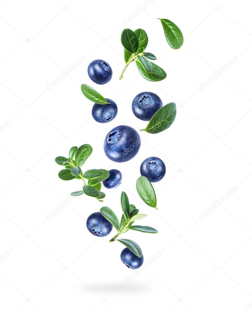 Ripe blueberries with green leaves in the air isolated on white background