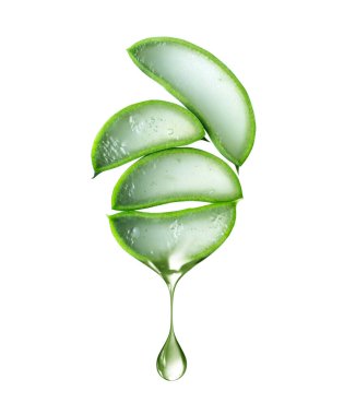 Aloe vera 'nın kesik kökleri ve beyaz arkaplanda izole edilmiş meyve suyu damlaları