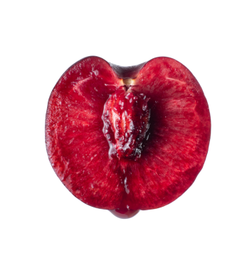 Şeffaf arkaplanda yarı izole edilmiş sulu kırmızı kiraz.