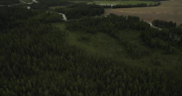 Nuages sombres par une belle journée d'été . — Video