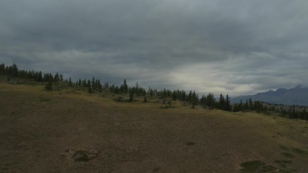 Gloomy clouds in a beautiful summer day. — Stock Video