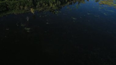 sabah uçuş göl üzerinde