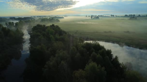 Утренний туман на солнце . — стоковое видео