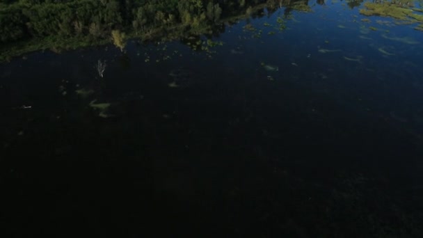 Vuelo de la mañana sobre el lago — Vídeos de Stock