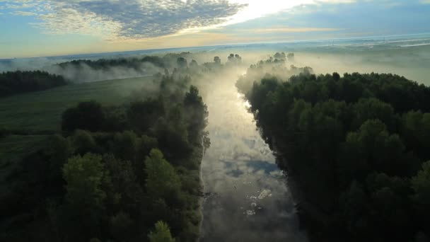 Niebla de la mañana en el sol . — Vídeo de stock