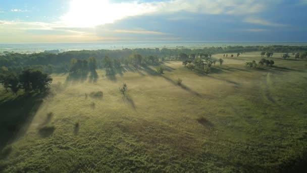 Brume matinale au soleil .