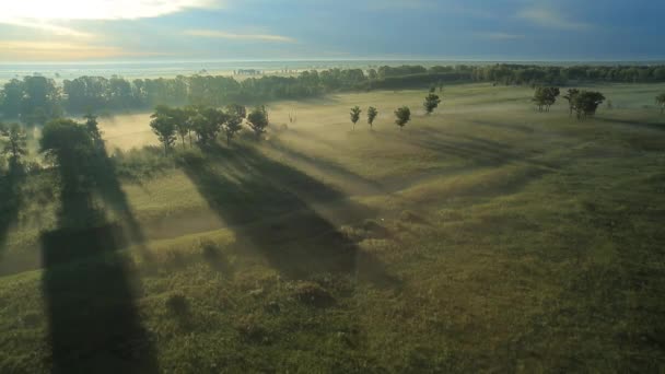 Morgennebel in der Sonne. — Stockvideo