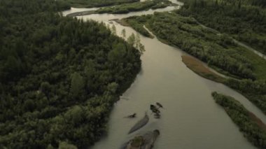 Nehir, orman ve dağlar üzerinde bulutlu havalarda uçan