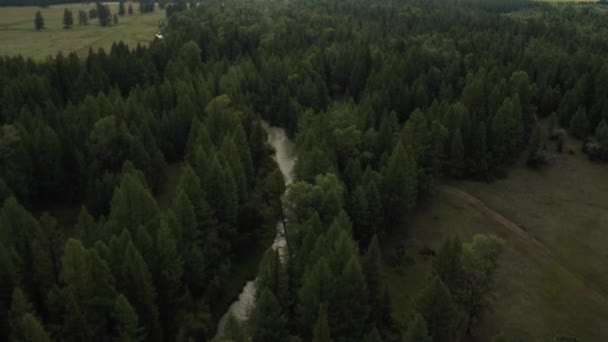 Bei trübem Wetter über Fluss, Wald und Berge fliegen — Stockvideo