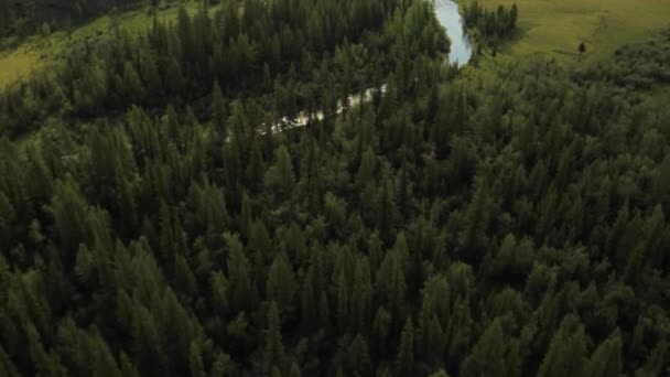 Bei trübem Wetter über Fluss, Wald und Berge fliegen — Stockvideo