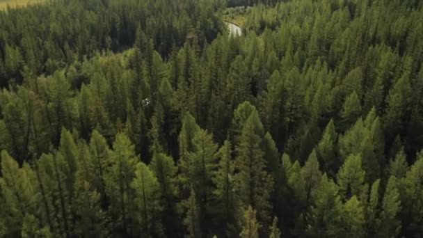 Létání v oblačném počasí nad řekou, lesů a hor — Stock video
