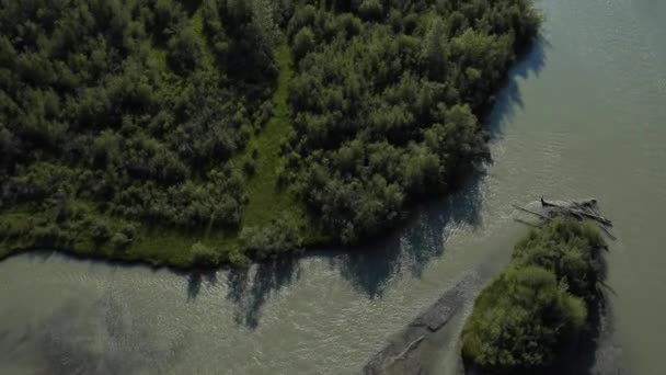 Flying over the River. Mountains of Altai, Siberia. Kurai Steppe — Stock Video