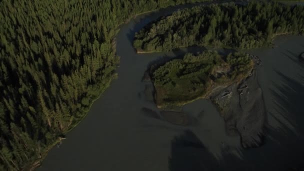 Zboară peste râu. Munții Altai, Siberia. Kurai Steppe — Videoclip de stoc