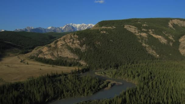 Fliegen über den Fluss. Berge des Altai, Sibirien. Kurai-Steppe — Stockvideo