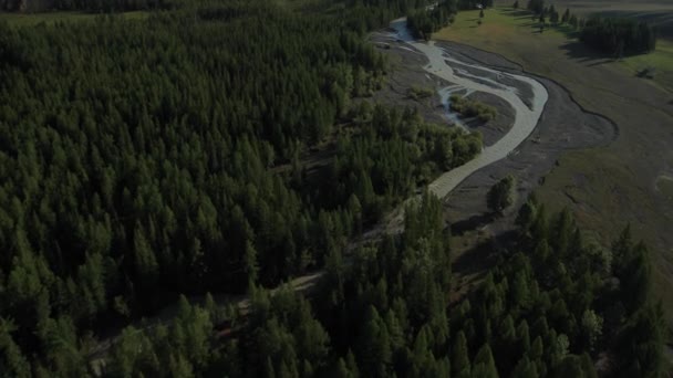 Flygande över floden. Bergen i Altai, Sibirien. Kurai stäppen — Stockvideo