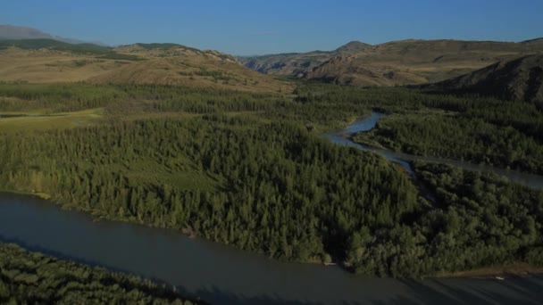 川の上飛んでいます。アルタイ、シベリアの山。倉井草原 — ストック動画