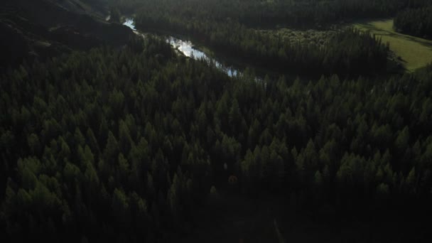 Flying over the River. Mountains of Altai, Siberia. Kurai Steppe — Stock Video