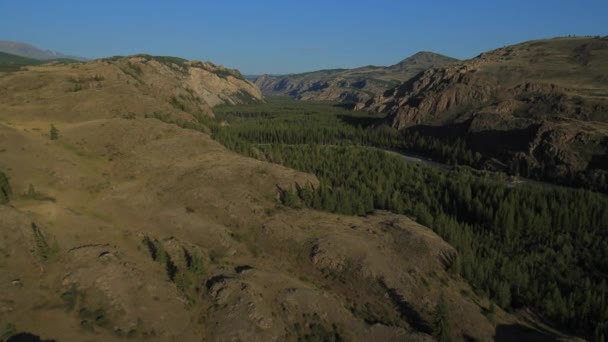 Aerial Shot de pastizales abiertos con bosque y montañas. Altai, Siberia. Kurai Steppe . — Vídeos de Stock