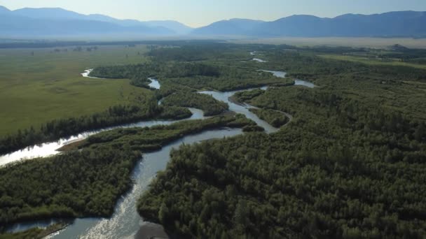 Πετώντας πάνω από το ποτάμι. Βουνά του Αλτάι, Σιβηρία. Kurai στέπας — Αρχείο Βίντεο