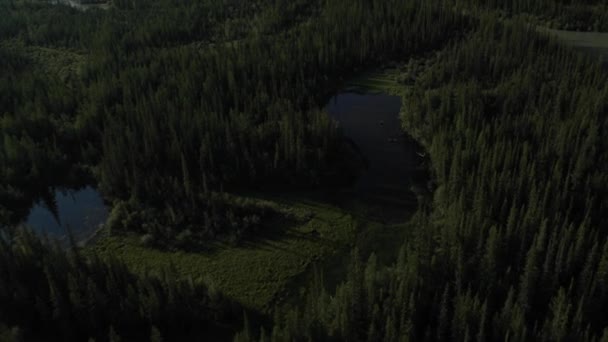 Flygande över floden. Bergen i Altai, Sibirien. Kurai stäppen — Stockvideo