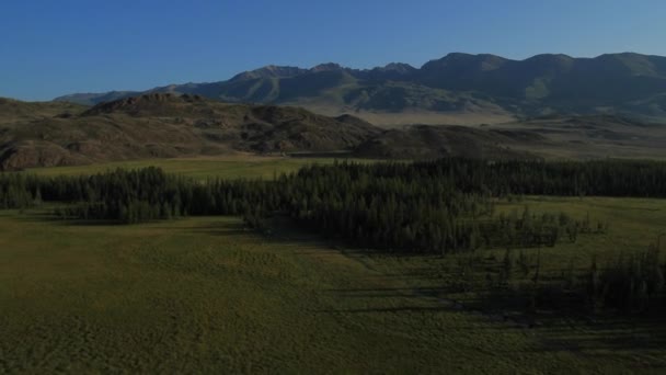 Aerial Shot av öppna betesmarker med skog och berg. Altai, Sibirien. Kurai Steppe. — Stockvideo