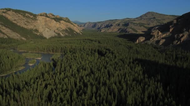 Fliegen über den Fluss. Berge des Altai, Sibirien. Kurai-Steppe — Stockvideo