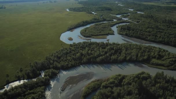 Volare sul fiume. Montagne di Altai, Siberia. Steppa del Kurai — Video Stock