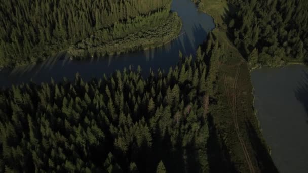 Vliegen over de rivier. Bergen van Altaj, Siberië. Kurai Steppe — Stockvideo