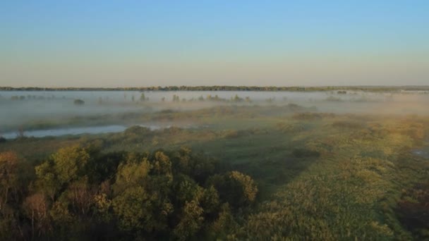 Paysage d'automne panoramique . — Video