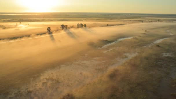 De stralen van de zon door middel van een mist en de Boom silhouet bij dageraad. — Stockvideo