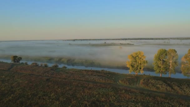 Panoramische Herbstlandschaft. — Stockvideo