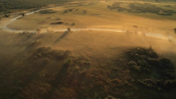 De stralen van de zon door middel van een mist en de Boom silhouet bij dageraad. — Stockvideo