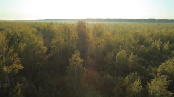 Panoramic Autumn landscape. — Stock Video