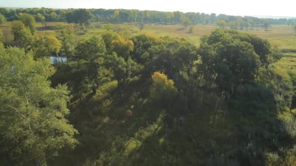 Panoramic Autumn landscape. — Stock Video