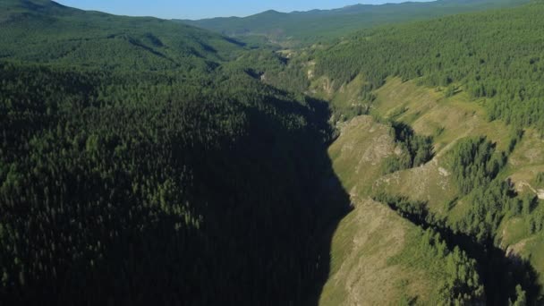 Vlucht over de bergen. Altai. Siberië. Vliegen over de rivier. Forest Valley. — Stockvideo