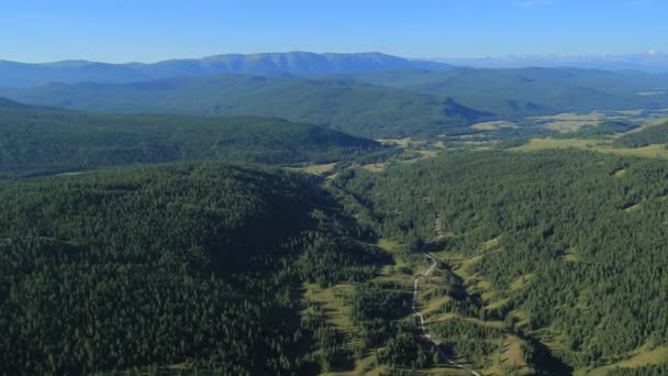 Vol au-dessus des montagnes. Altaï. Sibérie. Survoler la rivière. Forest Valley . — Video