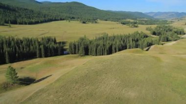 Dağların üzerinden uçmak. Altay. Sibirya. Nehrin üzerinde uçuyor. Orman Vadisi. 