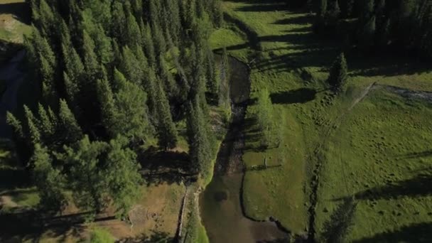 Vlucht over de bergen. Altai. Siberië. Vliegen over de rivier. Forest Valley. — Stockvideo