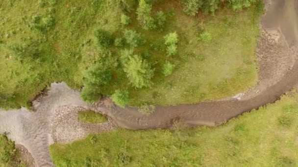 Tree Top View. — Stock Video