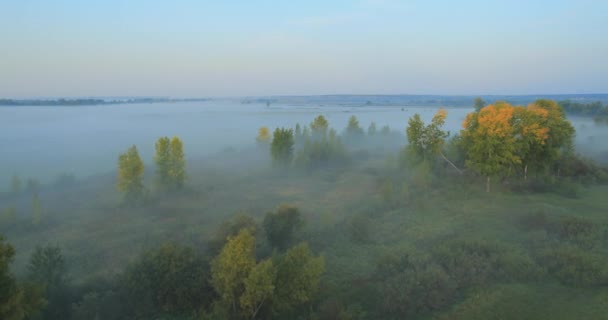 Panoramisch herfst landschap. — Stockvideo