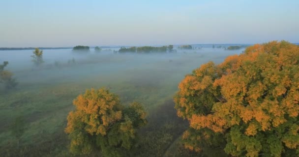 Панорамний краєвид осінь . — стокове відео