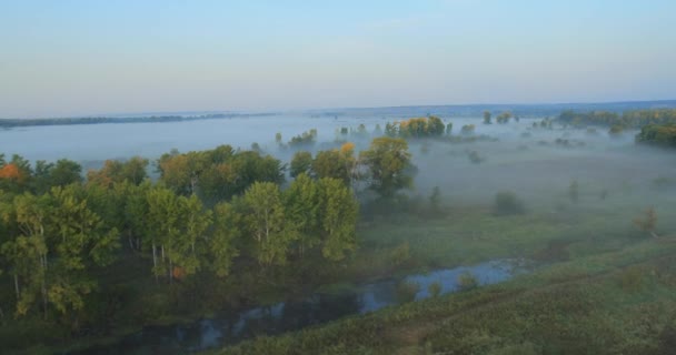 Panoramic Autumn landscape. — Stock Video