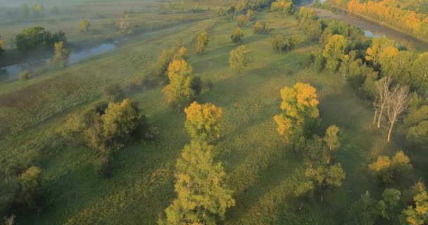 Paisaje de otoño panorámico . — Vídeo de stock