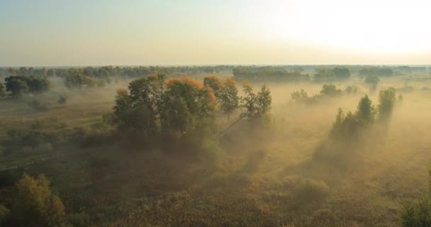 Panoramautsikt över Höstlandskap. — Stockvideo