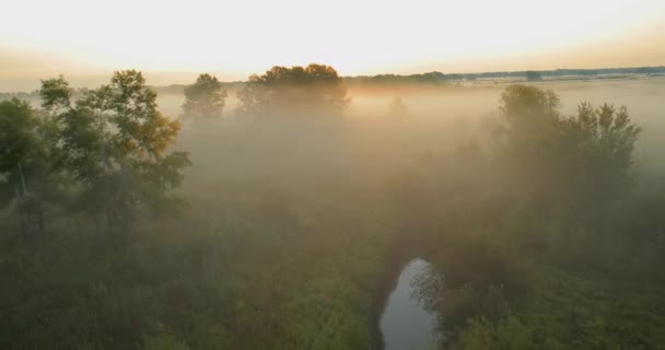 Panoramisch herfst landschap. — Stockvideo